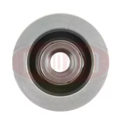 POULIE DÉBORDANTE POUR ALTERNATEUR DENSO 1022110500 TN1022110500