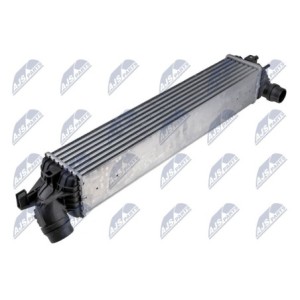 refroidisseur intermédiaire RENAULT LAGUNA III 07- 2.0 DCI MAN AUT - 144960001R, 96625, 30312