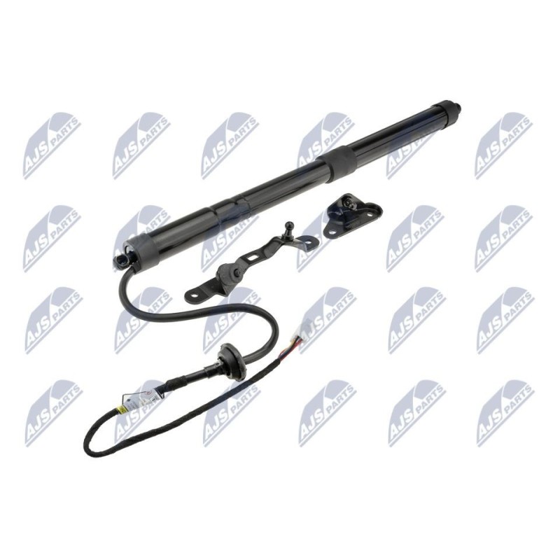 Vérin De Coffre DROITE TOYOTA RAV4 IV 12-18 - 6891009010, 68910-09010, 68910-09012