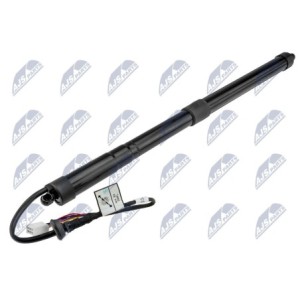 Vérin De Coffre GAUCHE TOYOTA RAV4 V 18 - H301095, 301095, 68920-42020