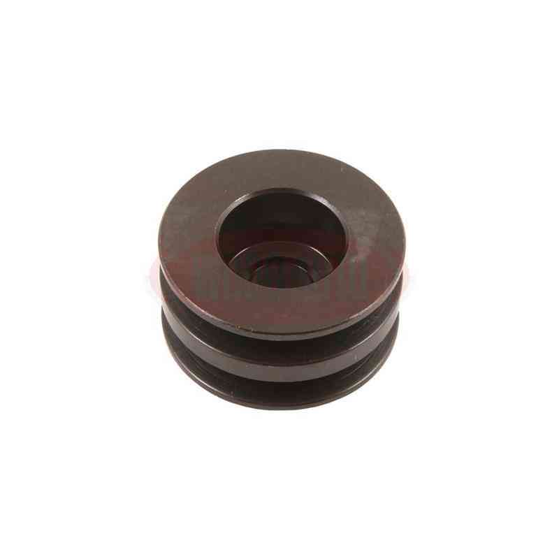POULIE DÉBORDANTE POUR ALTERNATEUR BOSCH 0120469962 0120488243 POULIE DÉBORDANTE POUR ALTERNATEUR BOSCH 0120469962 0120488243