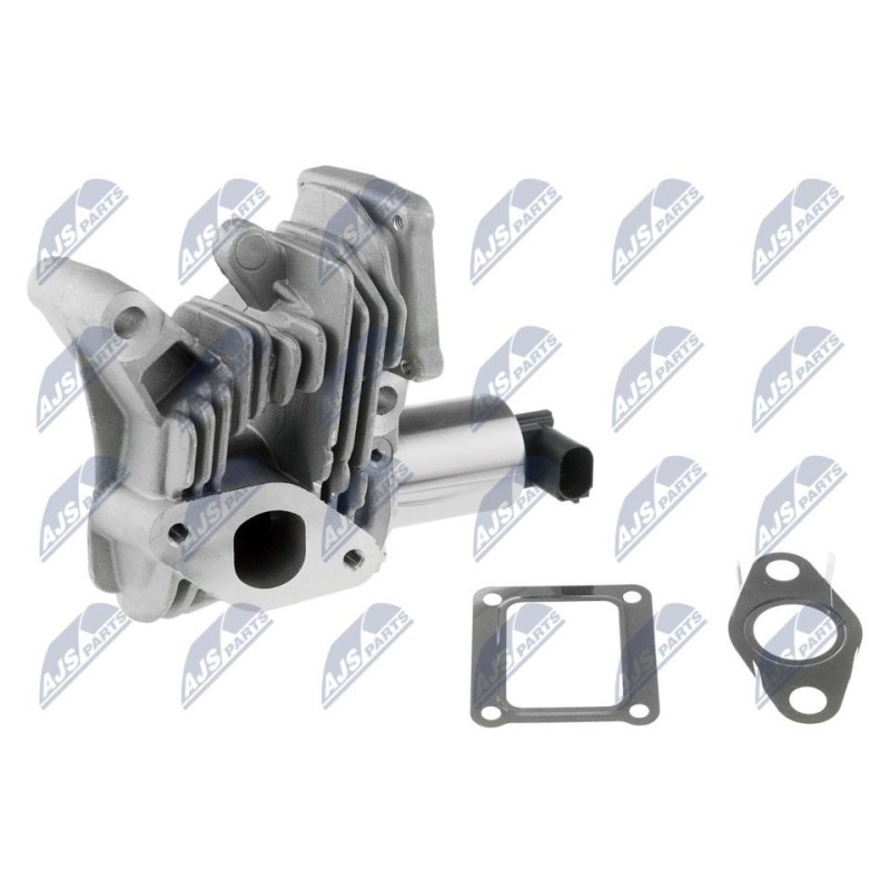 Vanne Egr RENAULT LAGUNA II 1.9DCI 01 - 959301, AV6029, 710959R