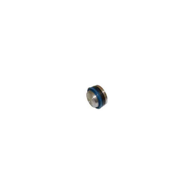 Piston de vérin Ø40 x 60 acier équipé dhollandia M4440.060 Piston de vérin Ø40 x 60 acier équipé dhollandia M4440.060