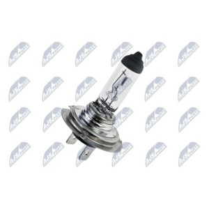 Pack de 10 Ampoule Halogène AMPOULE HALOGÈNE H1812V65W STANDARD - TYPE DE CULOT : PY26D-1 - ams-OS64180L, LLB718