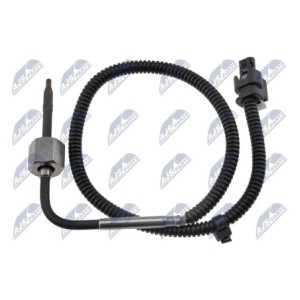 Palpeur - A0009050632, A0009056604