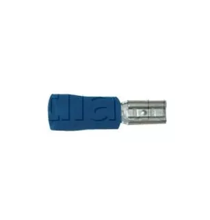 Weibliche halbisolierte blaue fem2.8