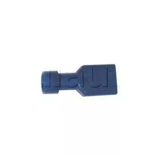 Clip femminile tutto isolato FEM.6.35
