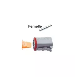 Kits 6 Full Ladies wasserdichte Anschlüsse Serial Deutsch 6 -way Fem.