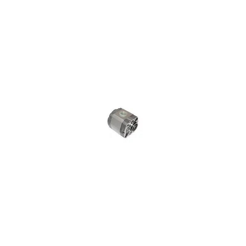 Pompe 1.6 Cm3/tr (type 2).PGE101-250-LCM1-N-3700 Anteo 387180/106154/106194