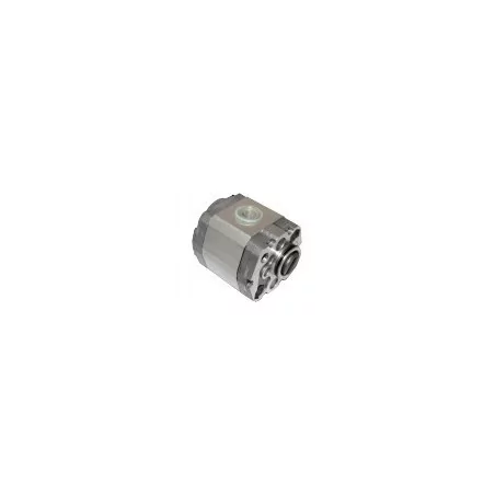 Pompe 1.6 Cm3/tr (type 2).PGE101-250-LCM1-N-3700 Anteo 387180/106154/106194