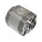 Pompe 1.6 Cm3/tr (type 2).PGE101-250-LCM1-N-3700 Anteo 387180/106154/106194