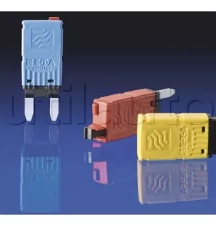 Fusibili Mini Interruttore di interruttore di interruttore manualmente 10A