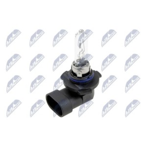 Paquet De 10 Ampoule Halogène HB3 9005 12V 65W TYPE P20D - 1 987 302 152, 8GH 005 635-121, LLB9005