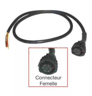 Prolongateur de faisceau avec un connecteur femelle AMP 7 pôles et un bout droit de 50 mm dégainé