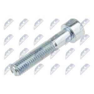 Vis M10x50 NPZ-FR-031 M10X50