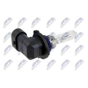 Paquet De 10 Ampoule Halogène HB3 9005 12V 65W TYPE P20D - 1 987 302 152, 8GH 005 635-121, LLB9005