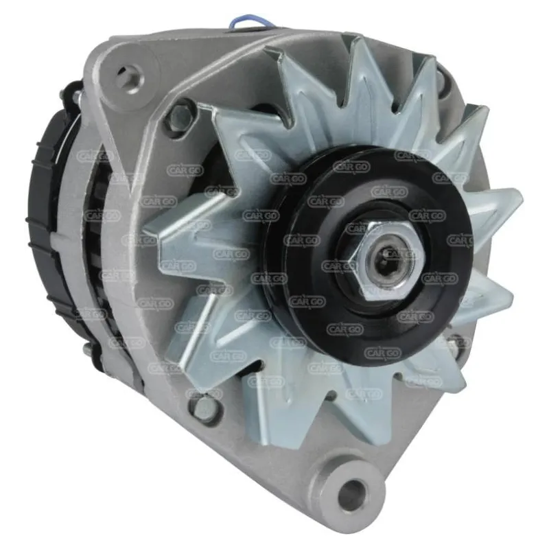 Alternatore 14 Volt 55 A, Bosch 0120489193, Valeo 2542296, Peugeot 555711, Citroen 555711