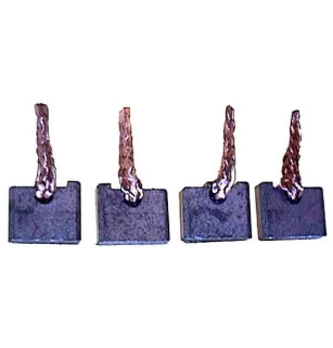 Set spazzole BSX1571584