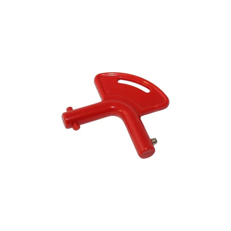 Tailgate battery cut-off key Dhollandia or Other E0076