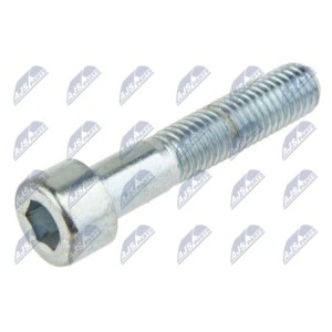 Vis M10x50 NPZ-FR-031 M10X50