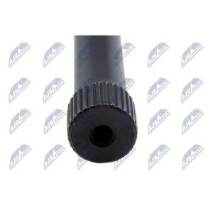 Barre De Torsion RENAULT MEGANE SCENIC 97-99 - 750089, 31536, 06753