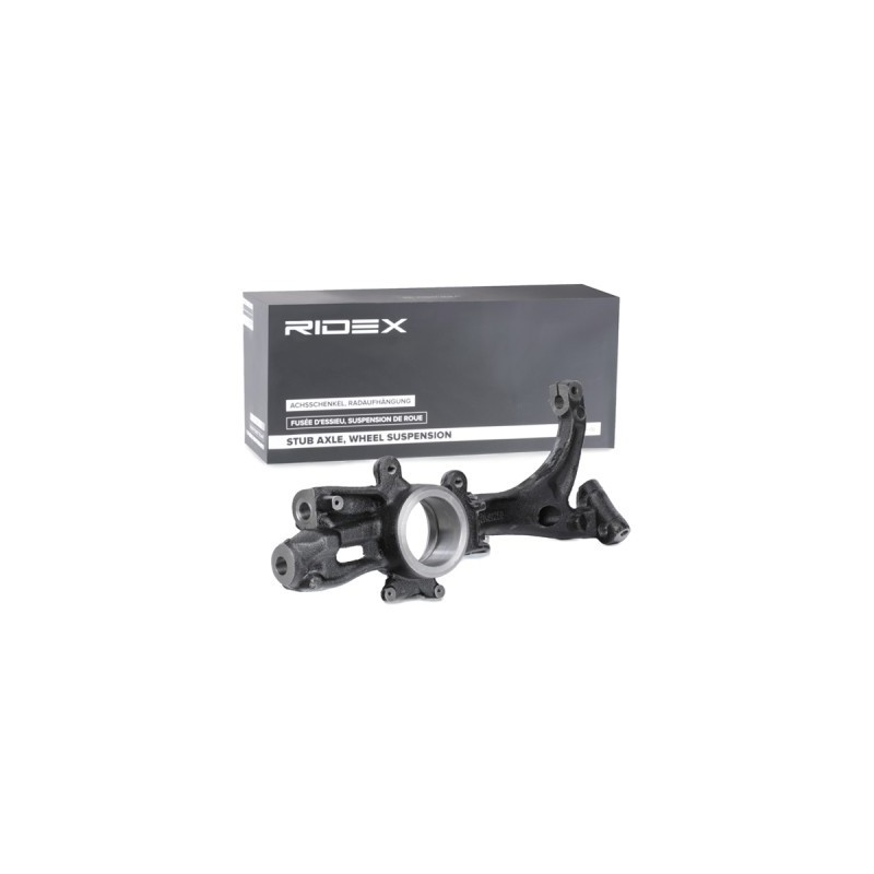 Fusée d'essieu, suspension de roue AUDI, SEAT, SKODA, VW 8D0407258AL, 8D0407258AL, 8D0407258AL