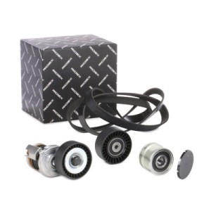 Jeu de courroies trapézoïdales à nervures AUDI, SEAT 55193360, 551933600, 038903315AD