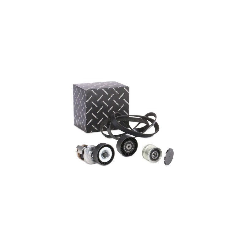 Jeu de courroies trapézoïdales à nervures AUDI, SEAT 55193360, 551933600, 038903315AD