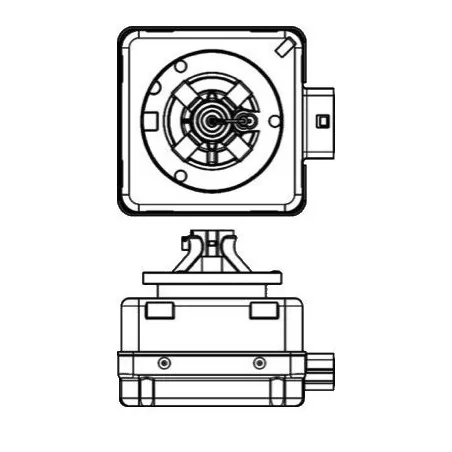 D1R xenon bulb