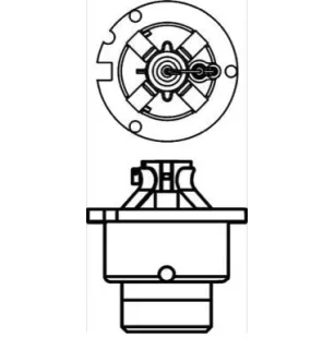 Lampadina allo xeno D2R