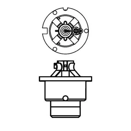 Ampoule Xénon D4S