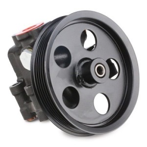 Pompe de direction assistée FORD 1333961, 1356787, 1385996