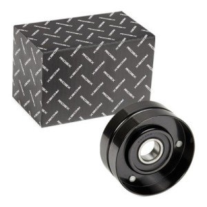 Galet enrouleur de courroie d'accessoire JEEP 4897159AB