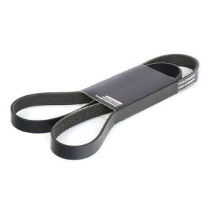 Courroie Poly-V BMW 11287509520, 11287636372, 55580053