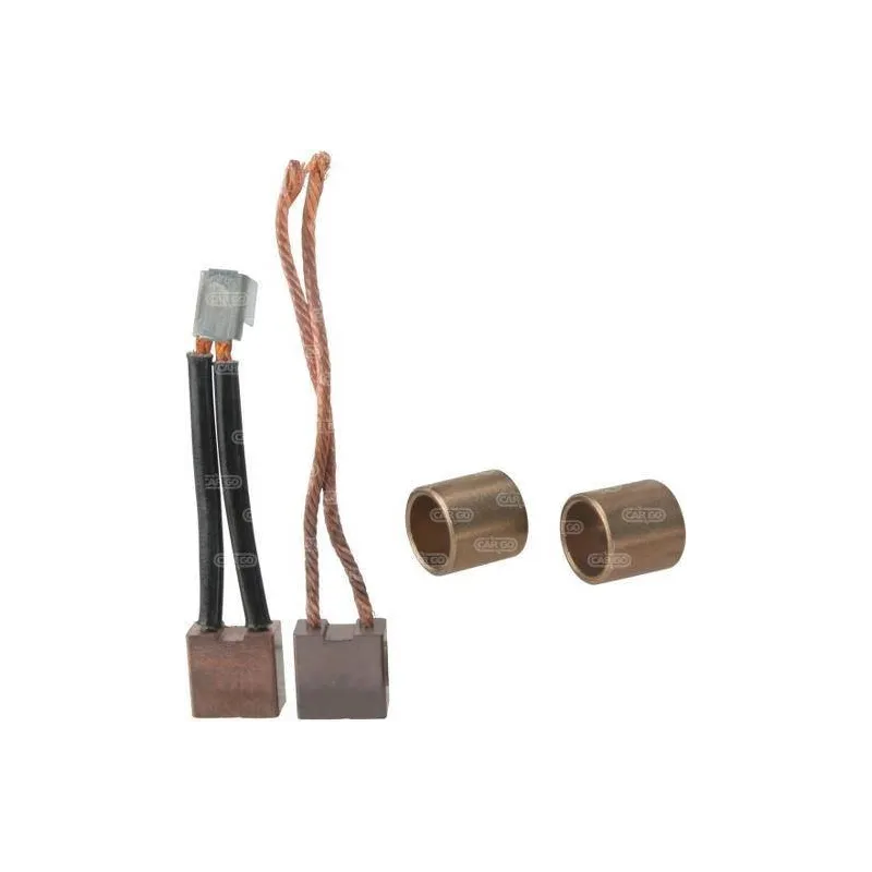 Set spazzole e boccole, Bosch: 1917000211, Valeo 20856, 606384, Ducellier 618491