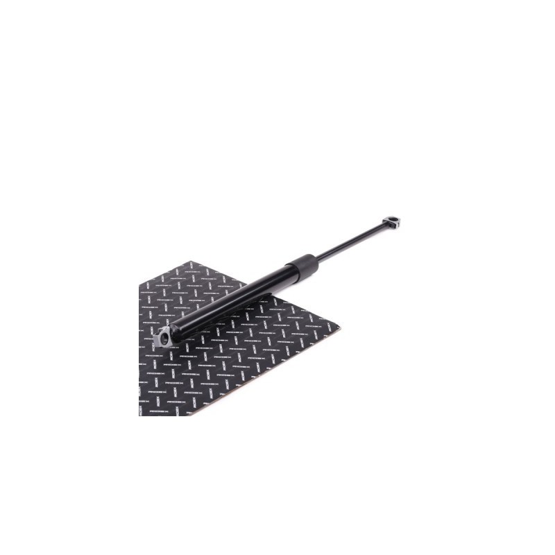 Vérin de coffre BMW 51242231663