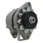 Alternateur Fiat 33A Mahle MG123, AAG0402, MG437, Valeo NA284, VA198, Bosch F042A0H017