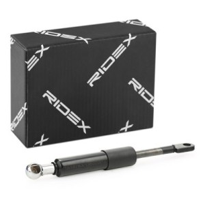 Vérin, vitre arrière BMW 51248120172, 8120172