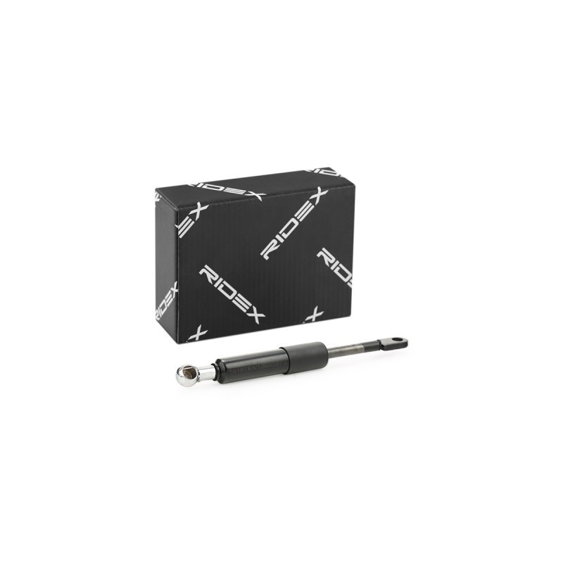 Vérin, vitre arrière BMW 51248120172, 8120172