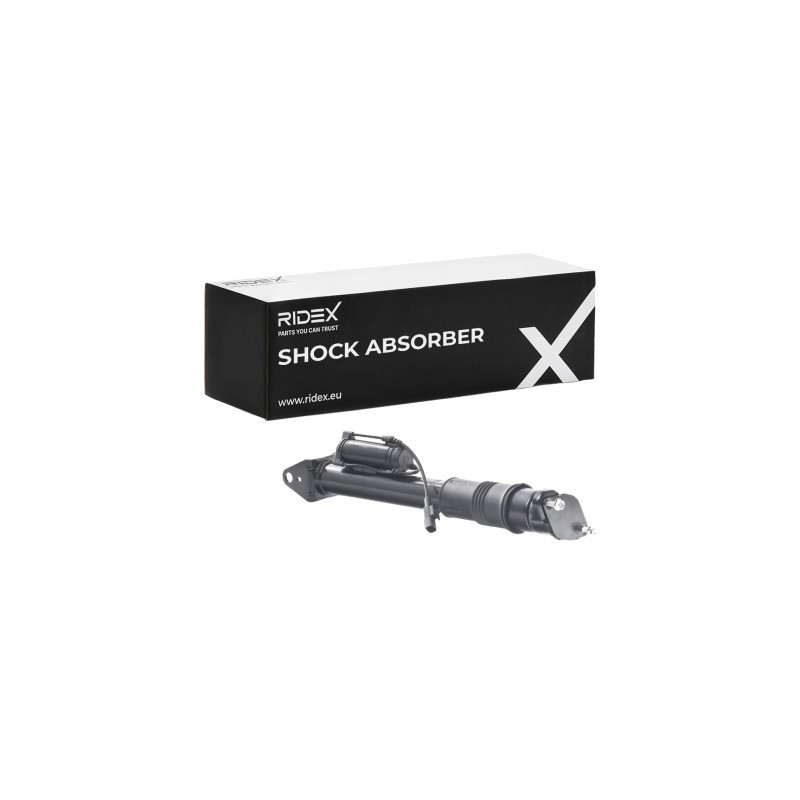 Amortisseur MERCEDES-BENZ 2513200431, 2513200931, 2513201831