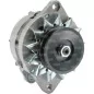 Alternatore Bosch 14V 60Amp 0120488284, 0120489336, Lancette 063320024000, 063321044000, Vite 11.201.585