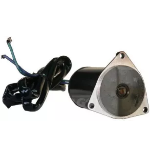 Kontinuierlicher Strommotor 12V WTO 387277, 391264, 393259, 394176, Prestolit EVC4002