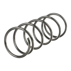 Ressort de suspension FORD 1067134, 1067309, 1069018