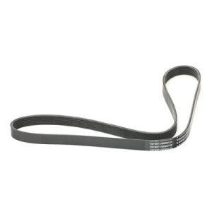 Courroie Poly-V AUDI 046903137N, 04792746AD, 4573013