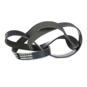 Courroie Poly-V BMW 11287509520, 11287636372, 55580053