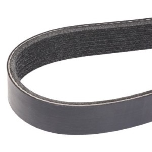 Courroie Poly-V BMW 11287560485, 11287631812, 7560485