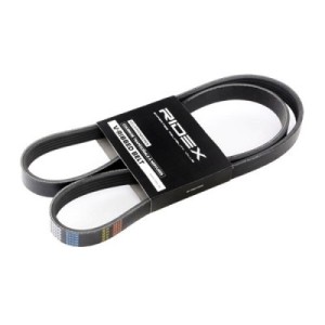 Courroie Poly-V CHRYSLER 04741824, D6510009, 46510593