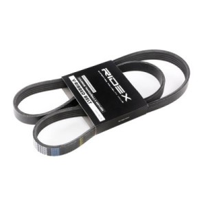 Courroie Poly-V ALFA ROMEO 0060513478, 71739622, 195510710300