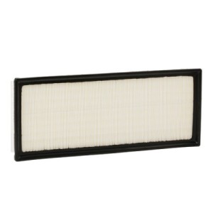 Filtre à air AC PC2519E, 1X439601AA, C2S11215