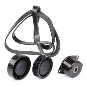 Jeu de courroies trapézoïdales à nervures AUDI, SEAT, SKODA, VW 46769821, 51855784, 71739910